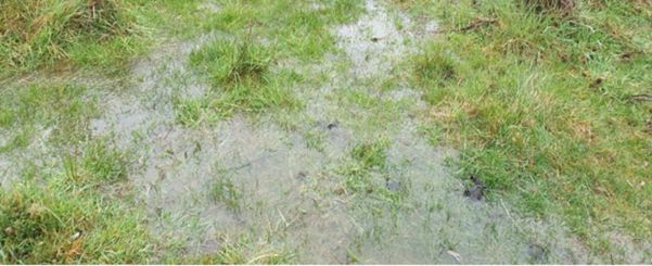 section of paddock close up with free water on surface