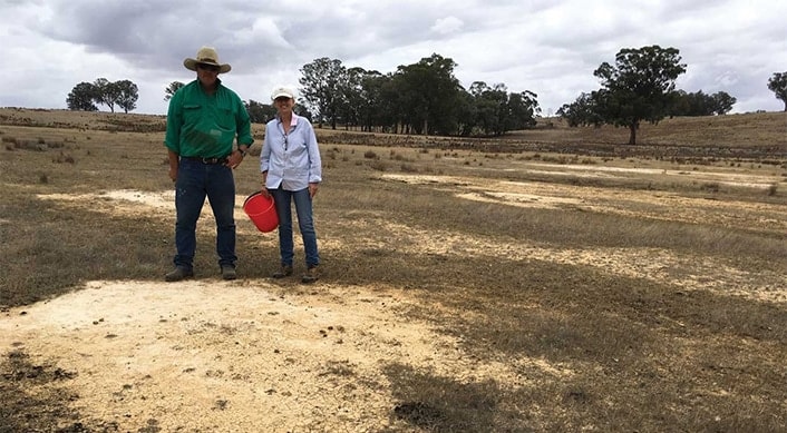 Patches of subsoil on the surface indicating tunnel erosion.