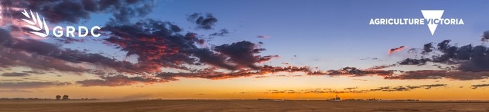View of field at sunset