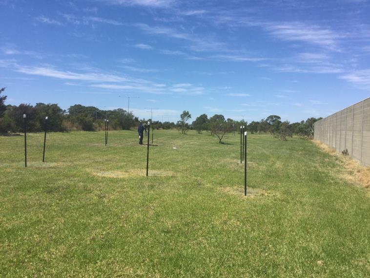 Area of grass mapped out with capped pickets infested with alligator weed