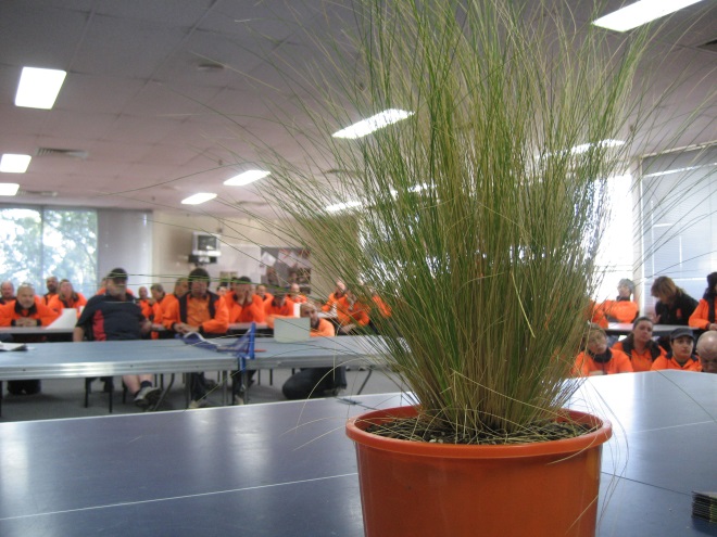 Weed Spotter training sessions teaching participants how to identify State prohibited weeds