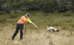 Woman in grassland with dog 