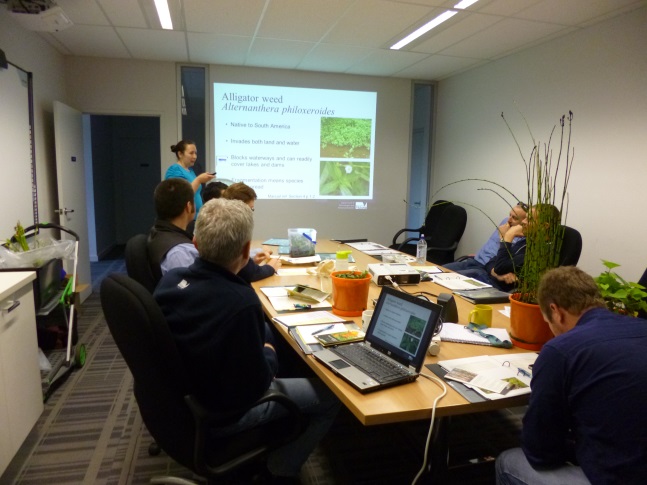 Weed Spotter training sessions teaching participants how to identify State prohibited weeds